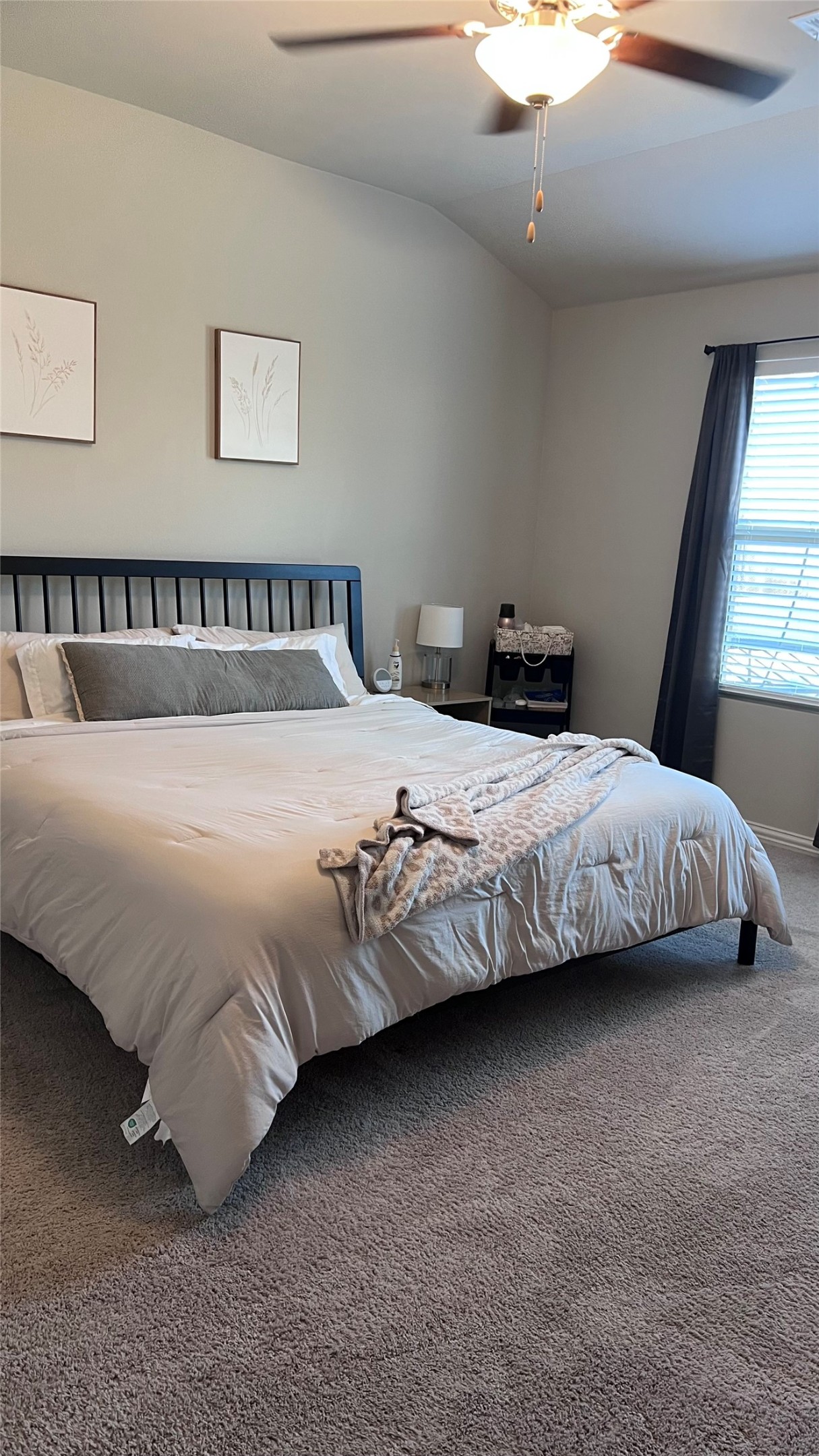 3242 Deckard Drive