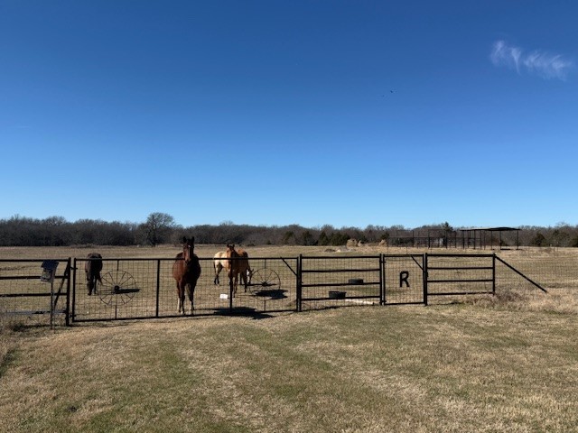 994 County Road 3925