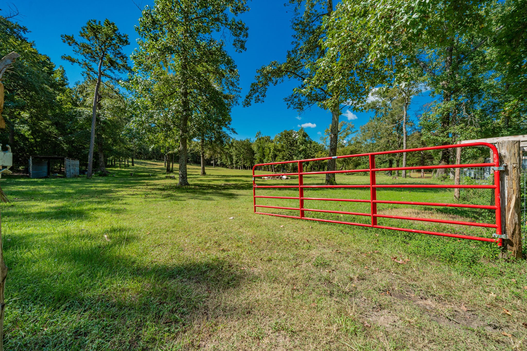 815 VZ County Road 4409
