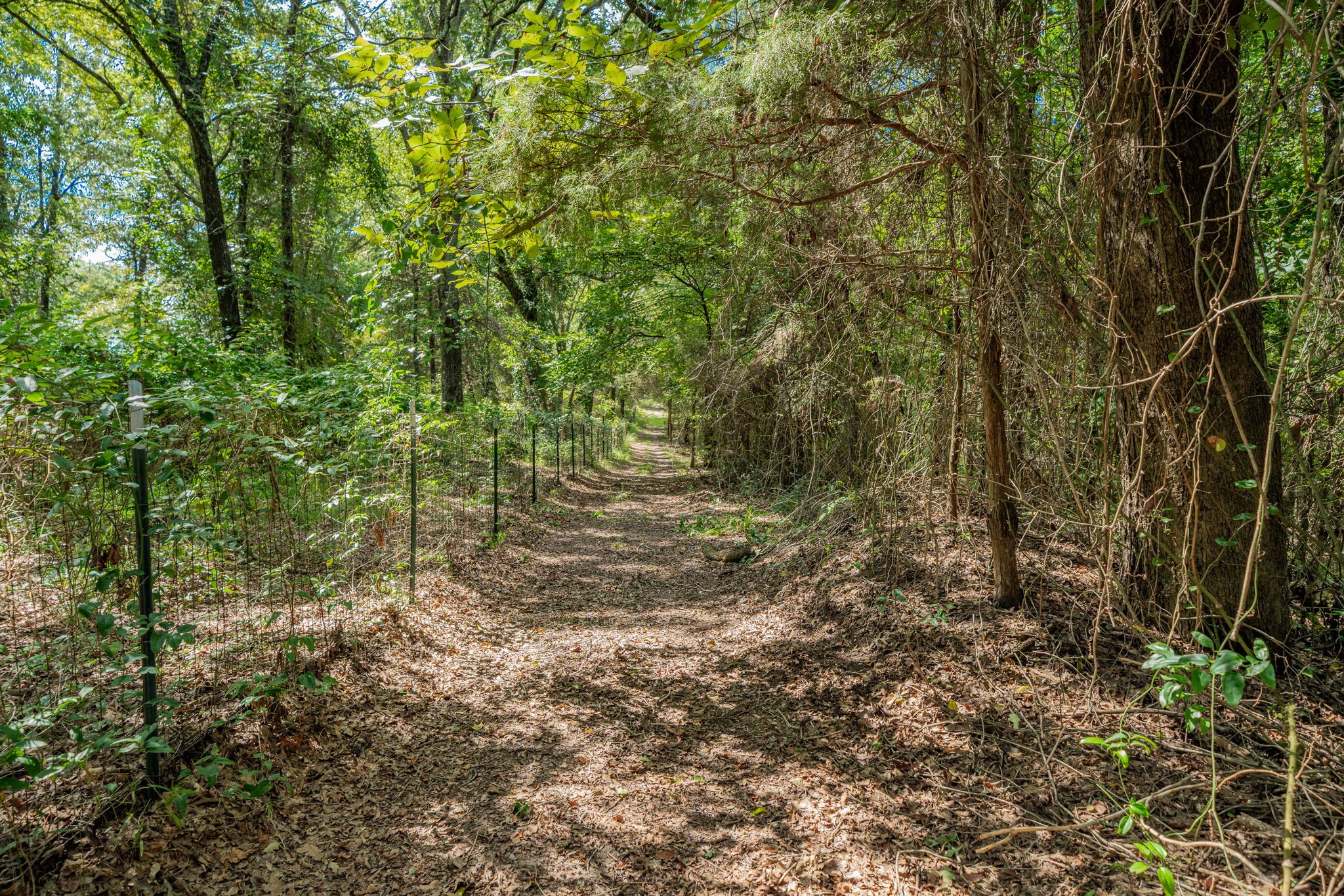 815 VZ County Road 4409
