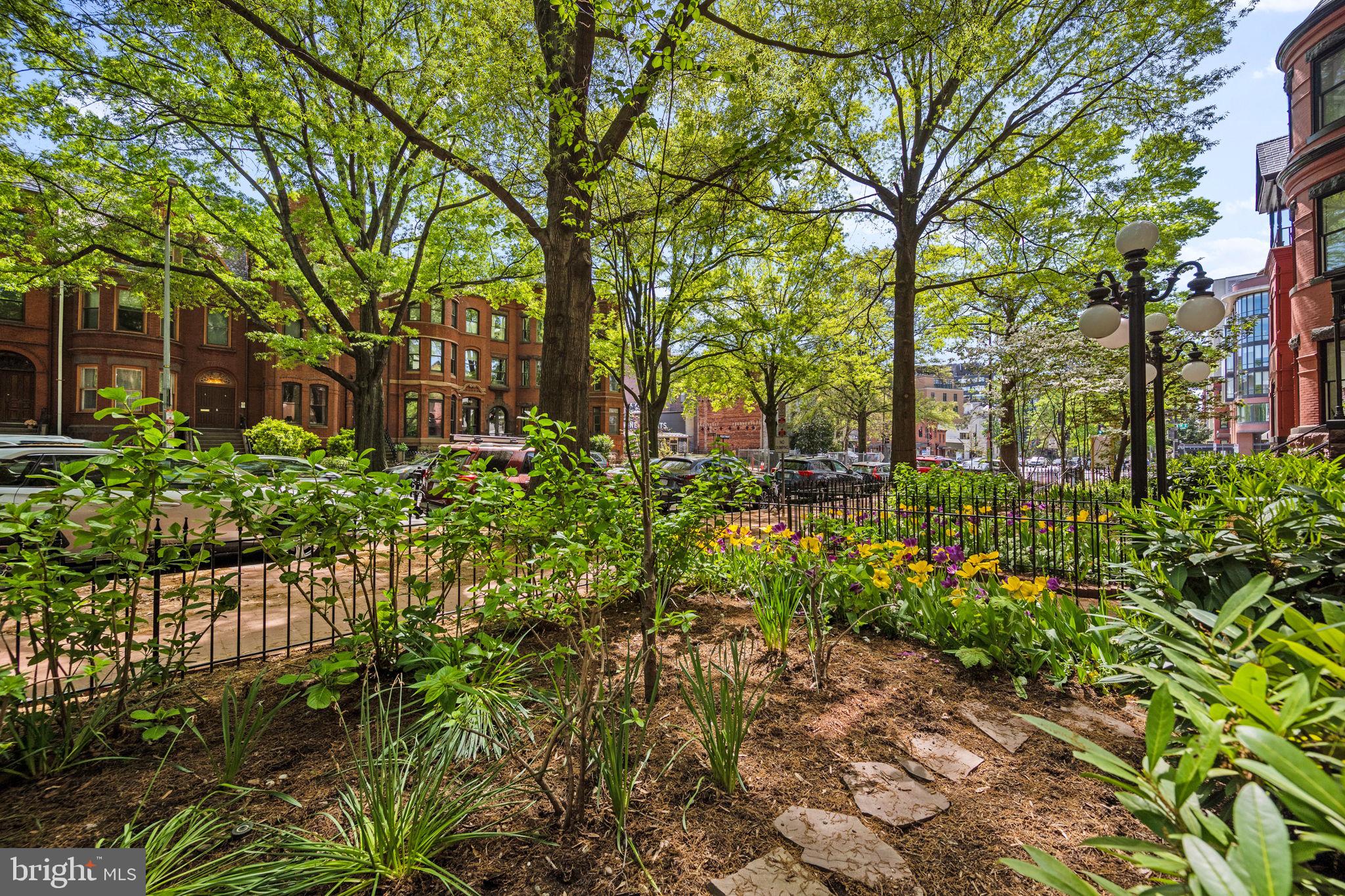 1317 Rhode Island Ave NW #203