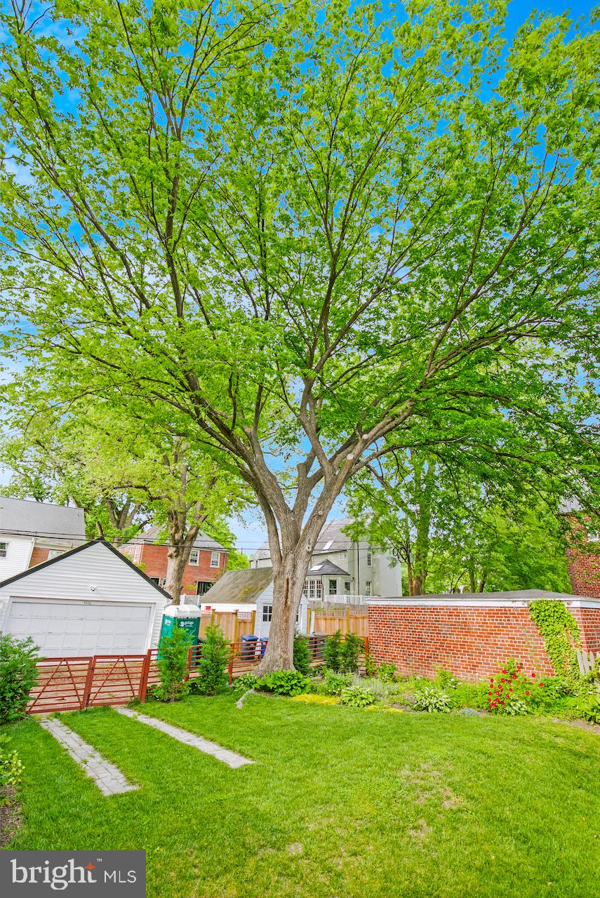 4509 Butterworth Pl NW