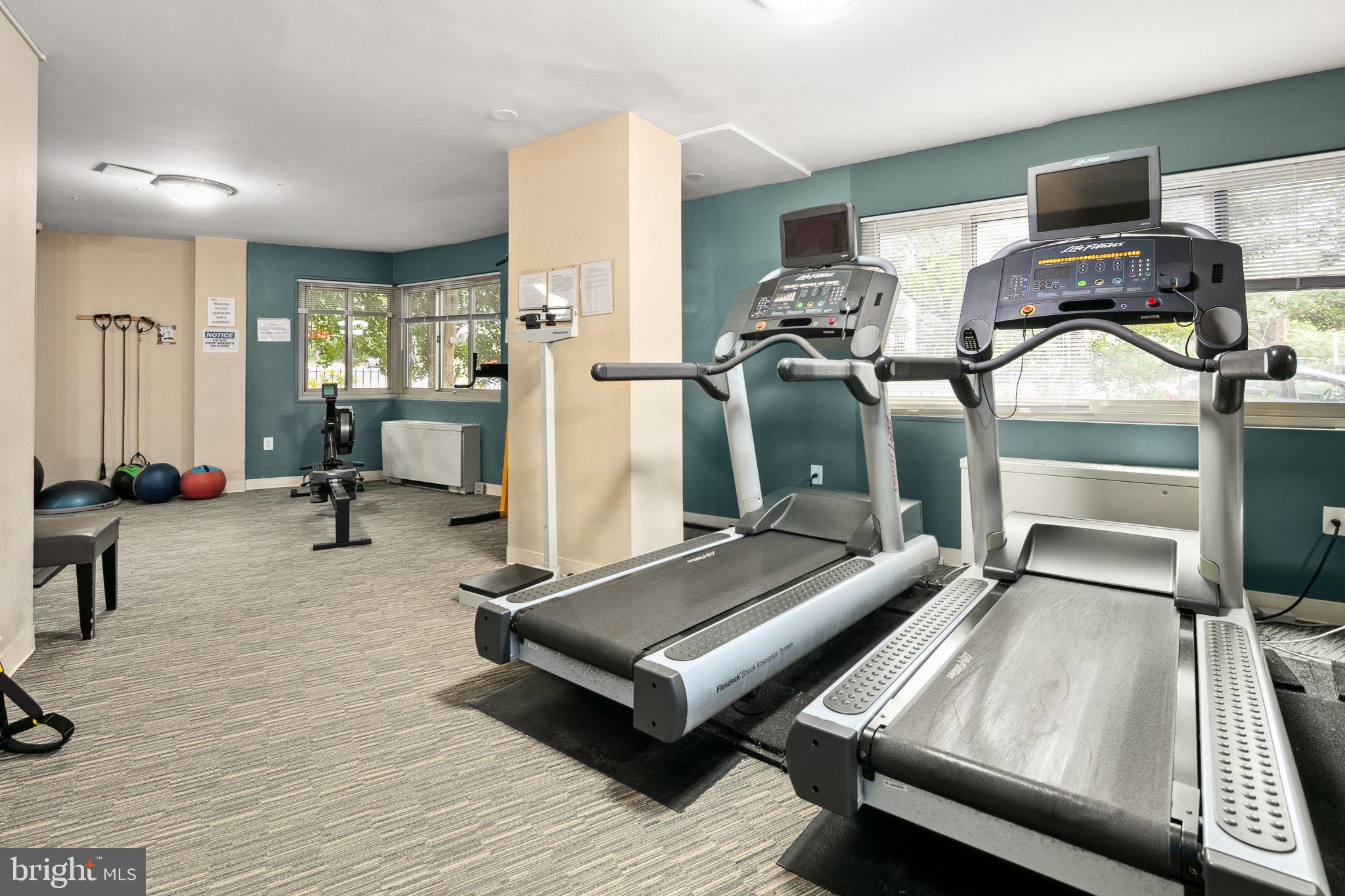 4600 Connecticut Ave NW #401