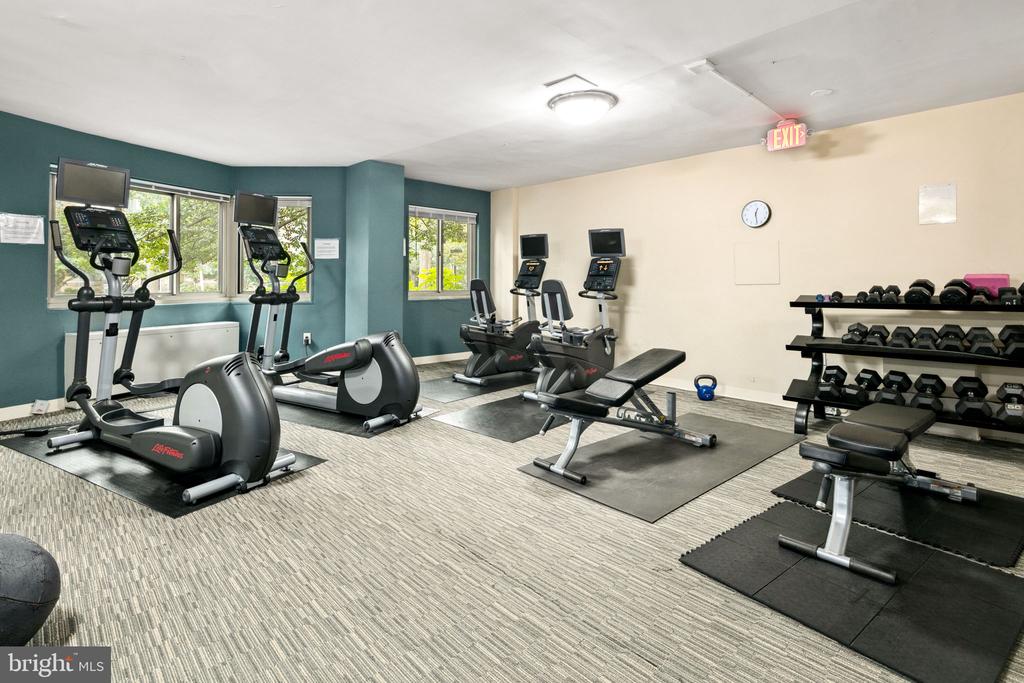 4600 Connecticut Ave NW #401