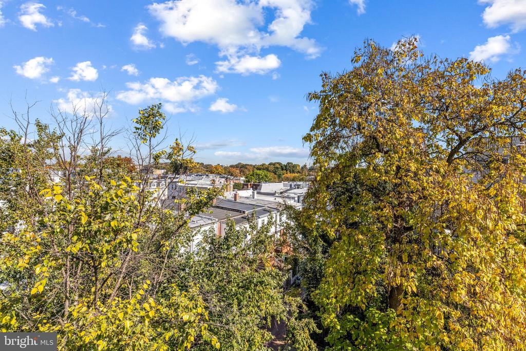 526 Lamont St NW #5