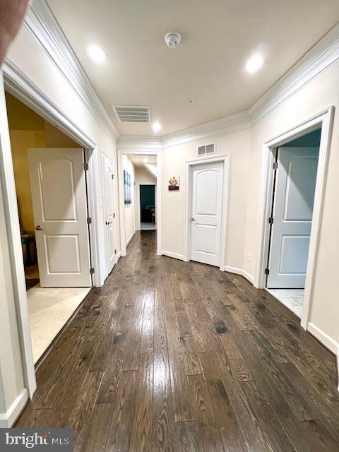 423 Greenebaum Ln