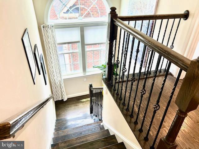 423 Greenebaum Ln