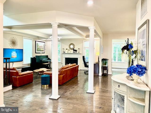 423 Greenebaum Ln