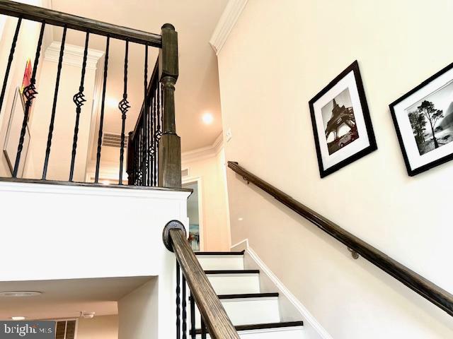 423 Greenebaum Ln