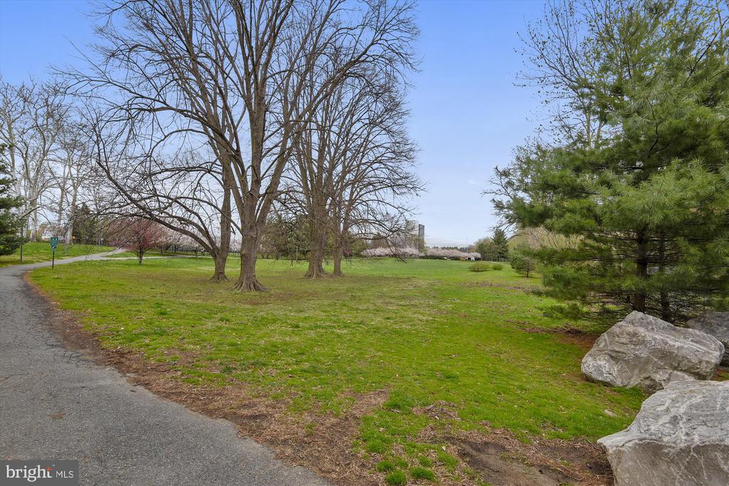 3909 WOODLAWN ROAD