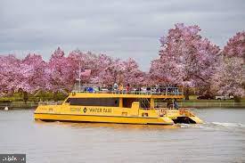 1223 ROUNDHOUSE LANE