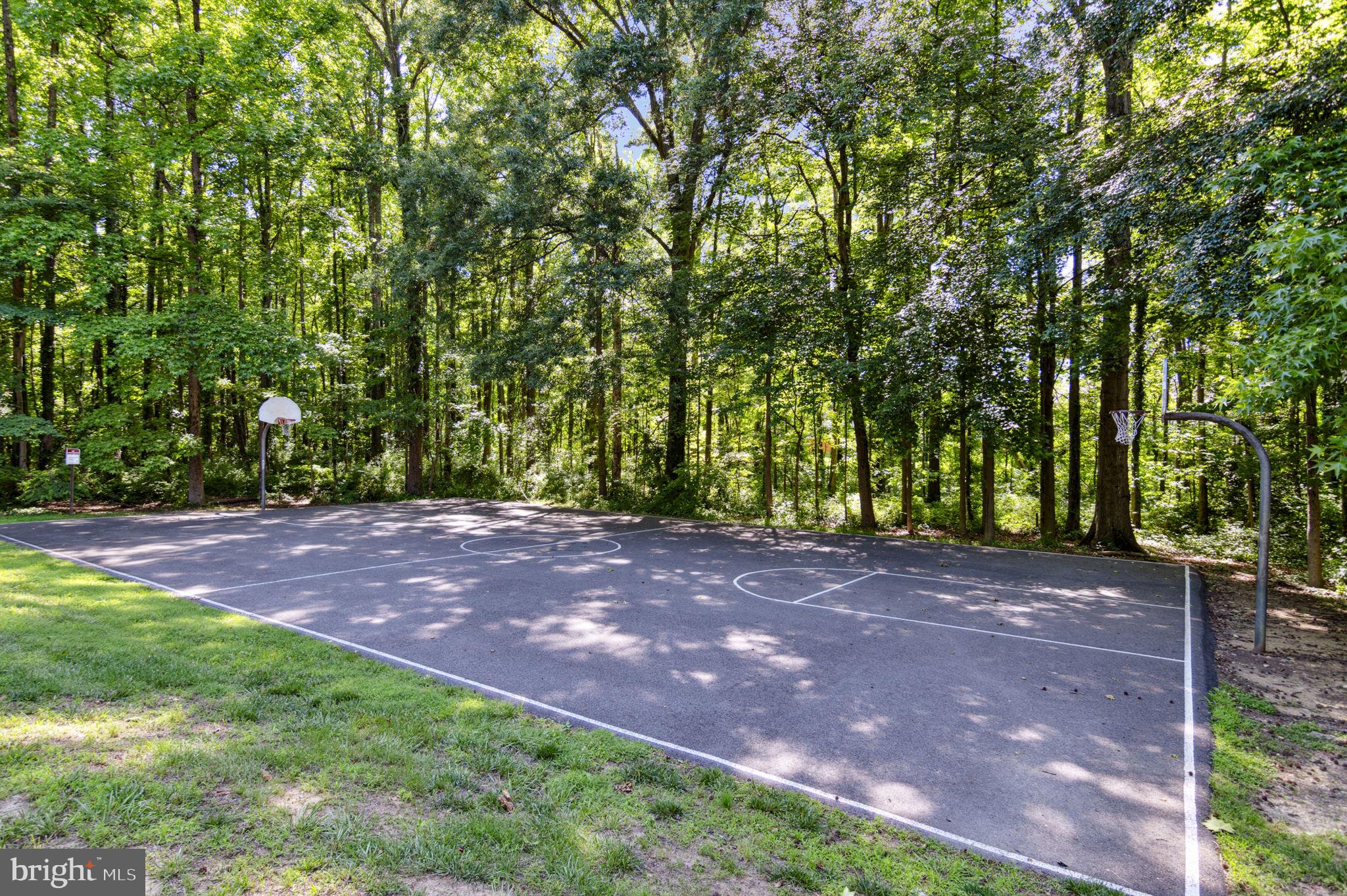 7212 Parsons Ct