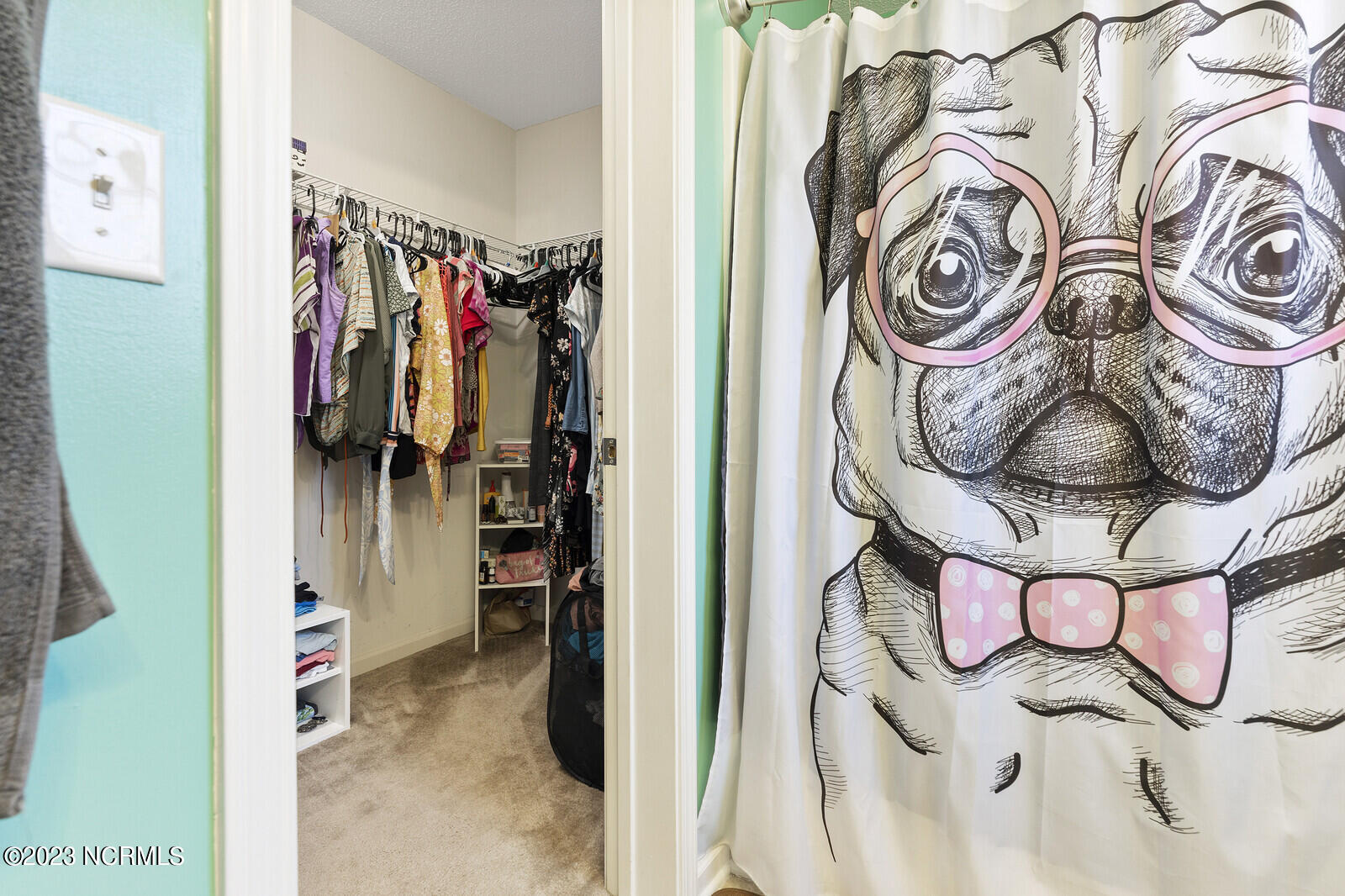 1152 Amber Pines Drive