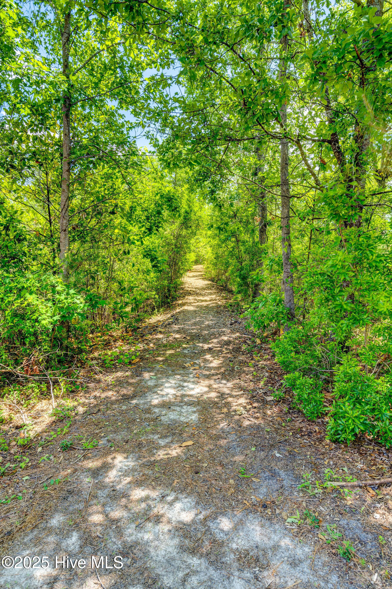 802 Blue Point Drive