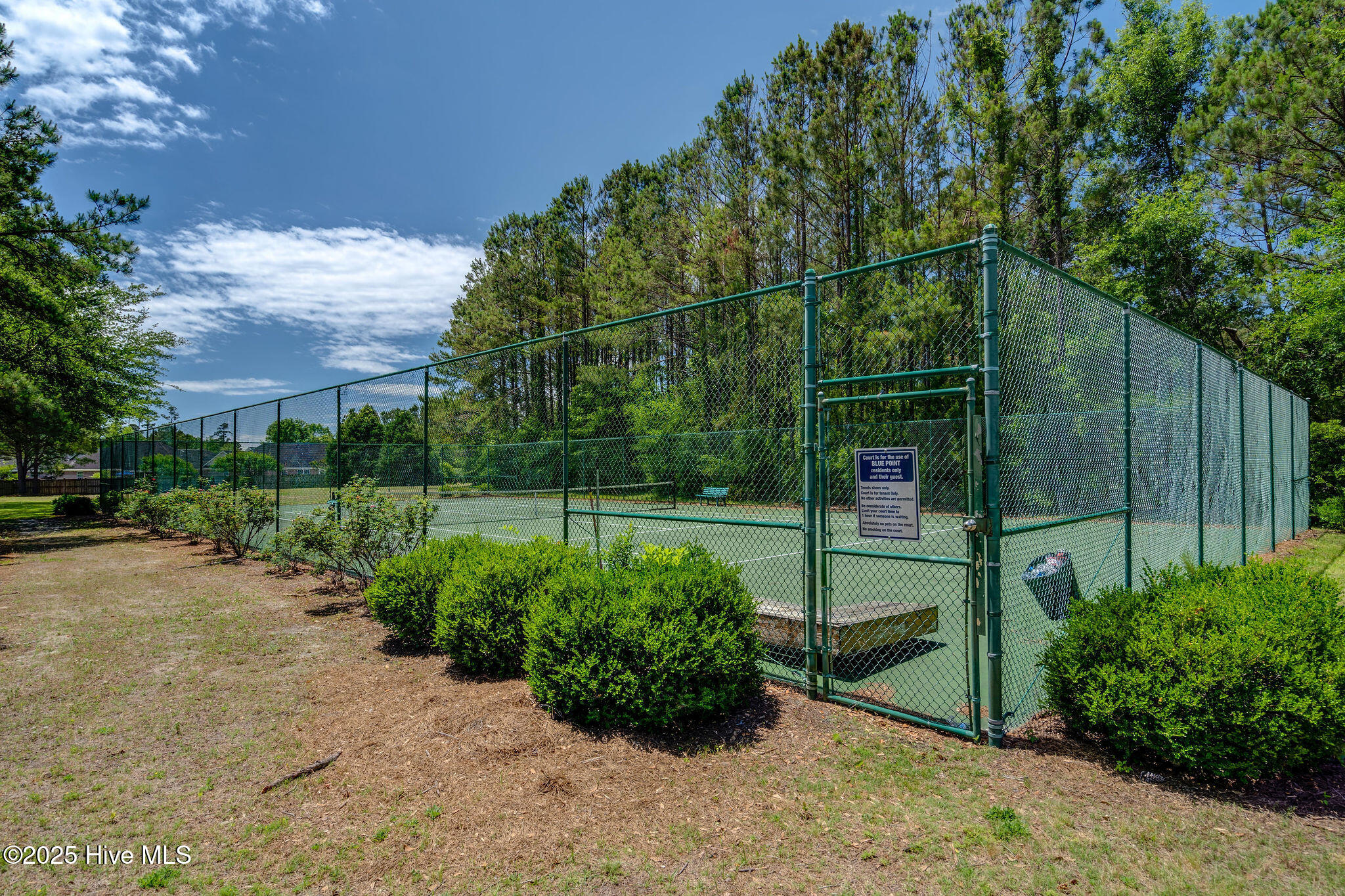 802 Blue Point Drive