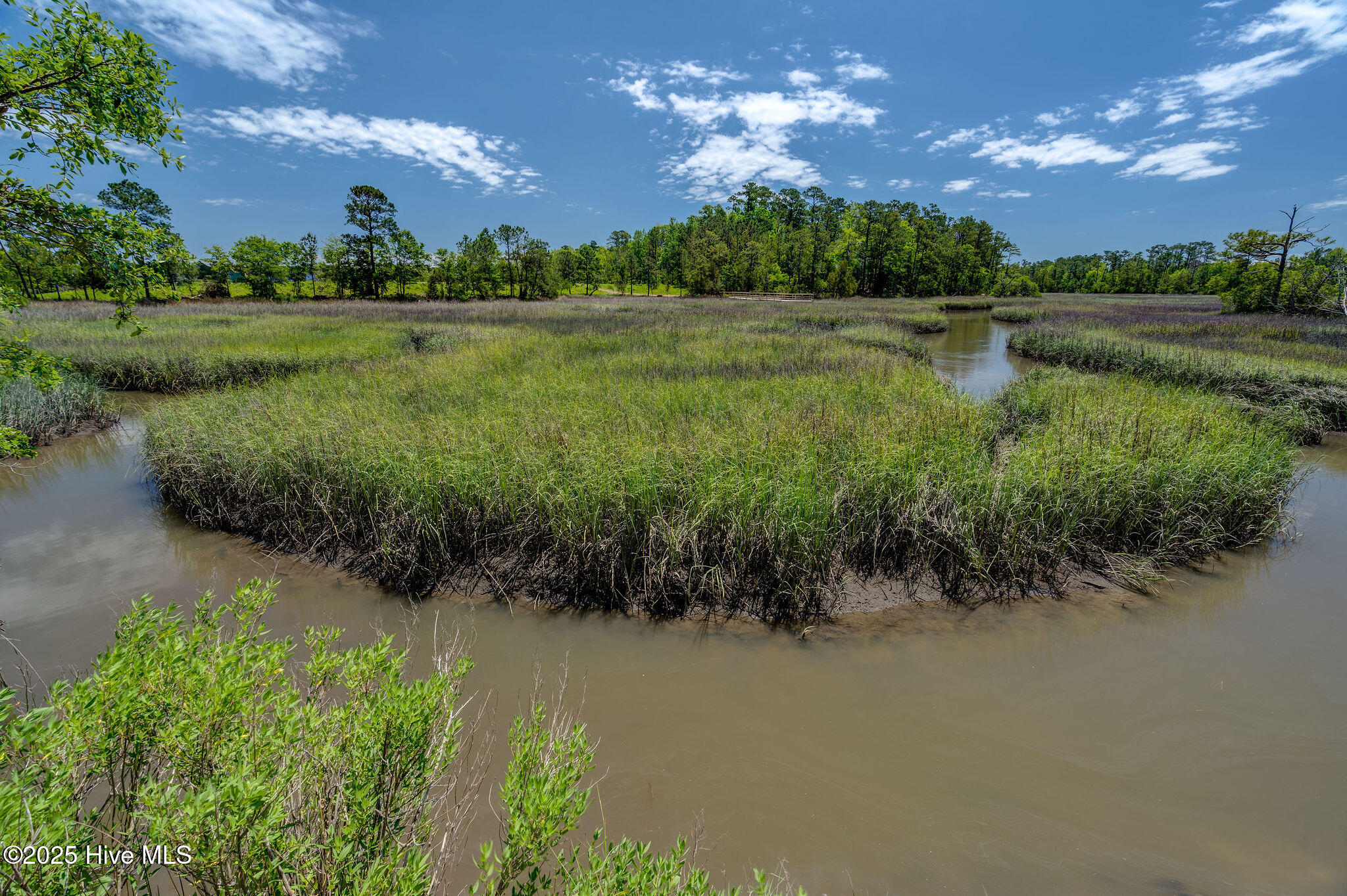 802 Blue Point Drive