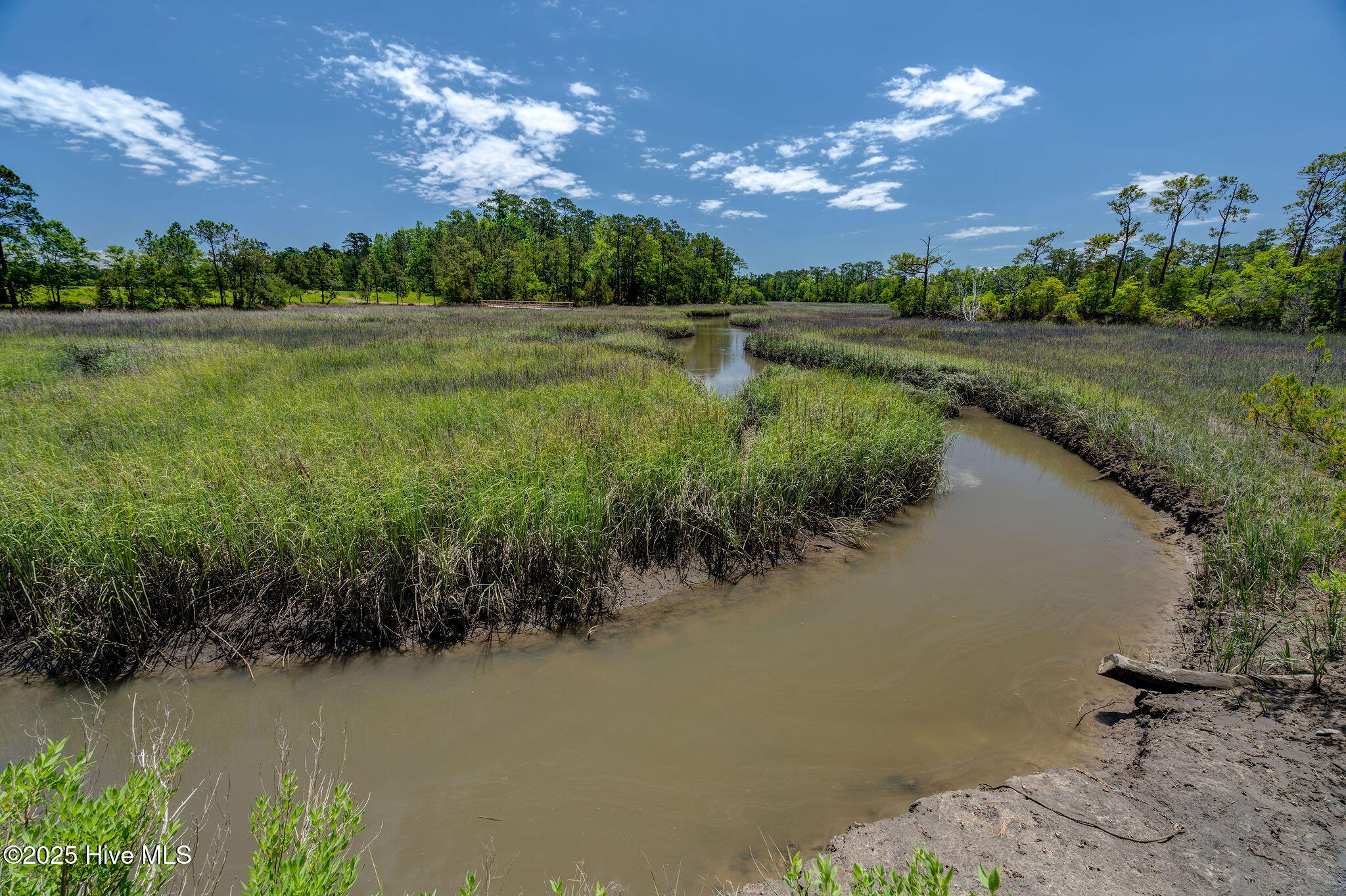 802 Blue Point Drive