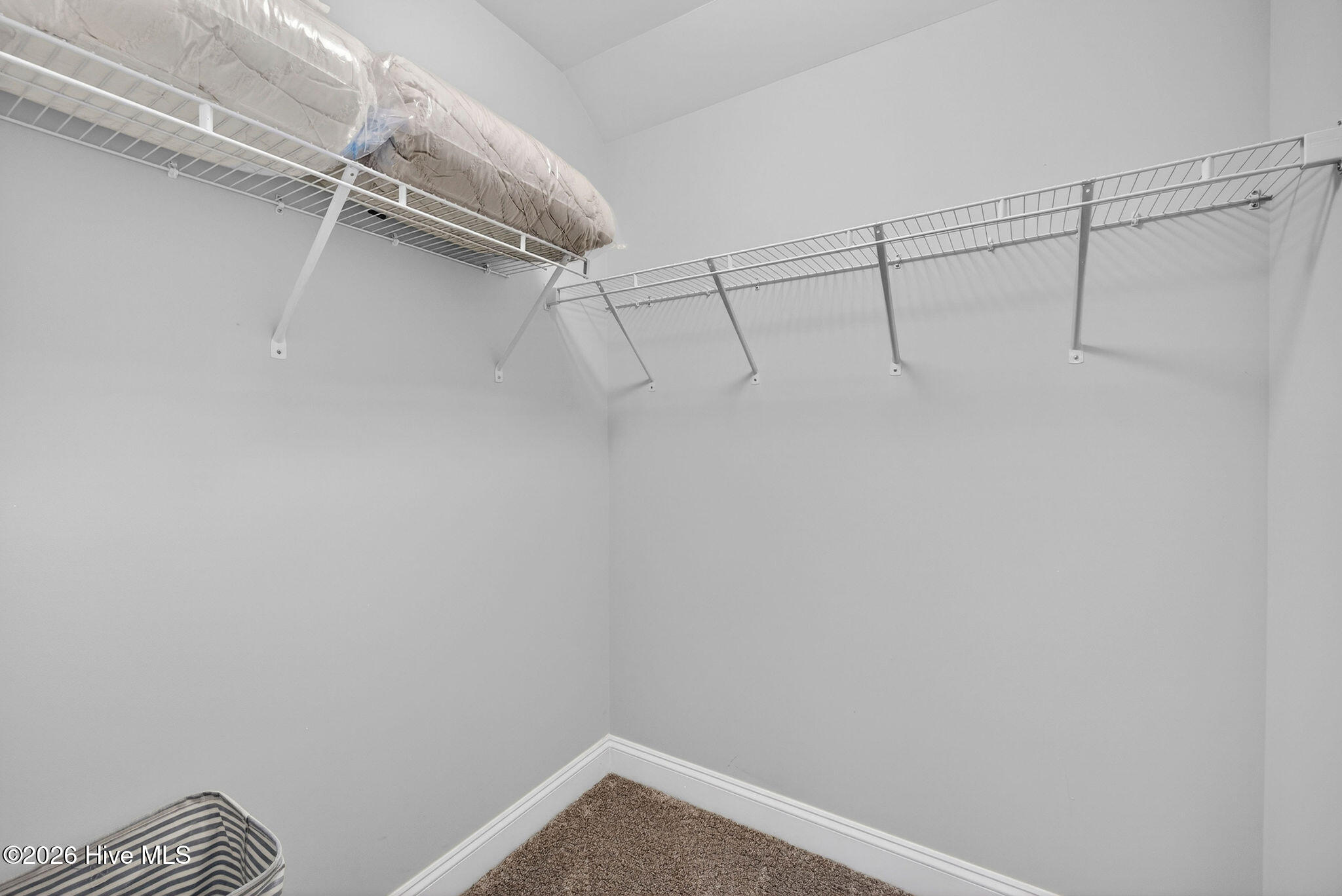 858 Broomsedge Terrace