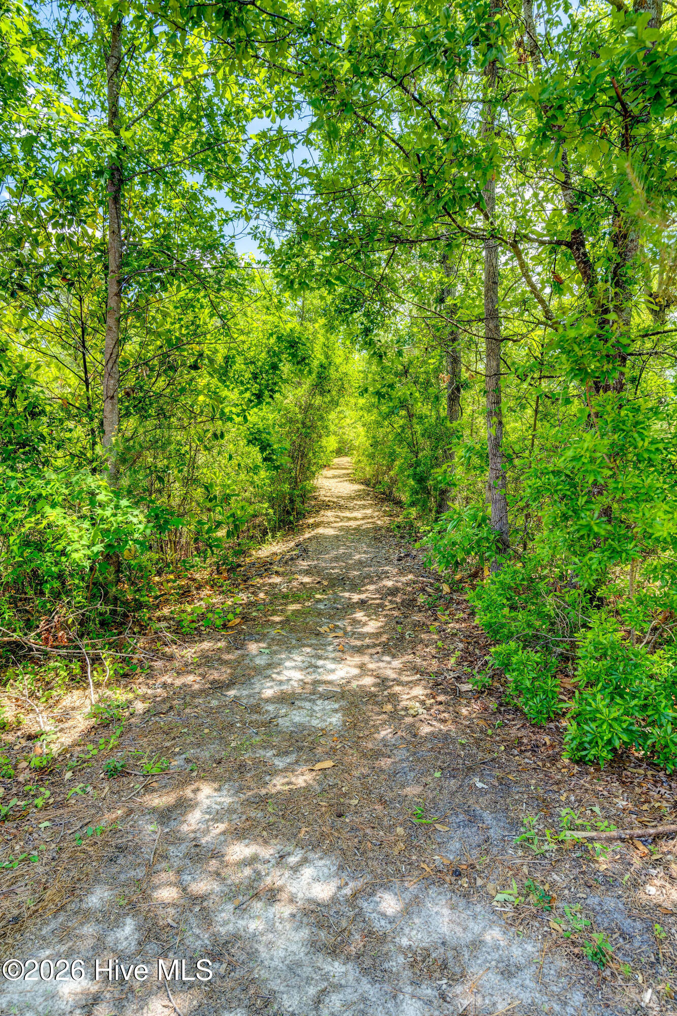 802 Blue Point Drive