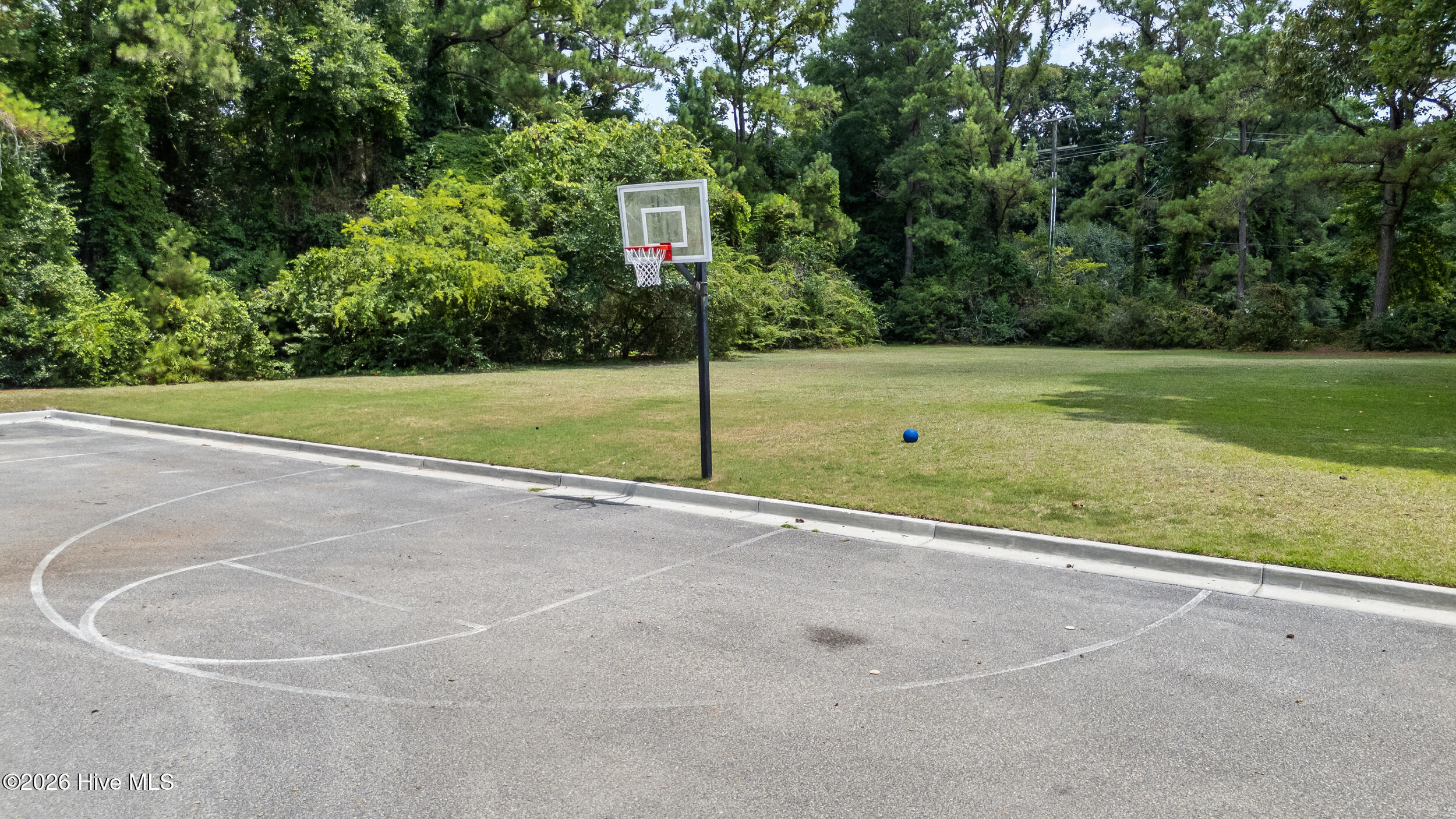 802 Blue Point Drive