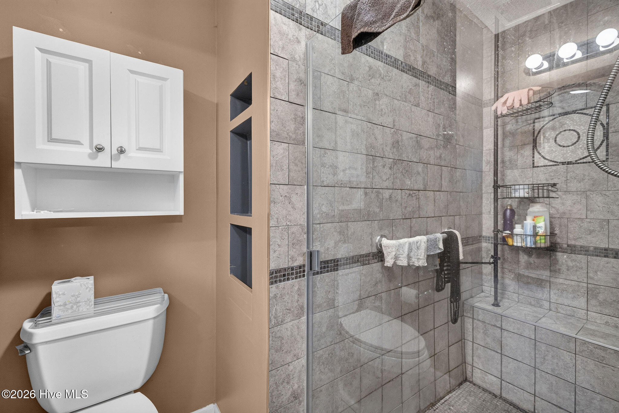 Bathroom with a tiled glass shower, built-in shelves, and a white toilet beside a wall-mounted cabinet.
