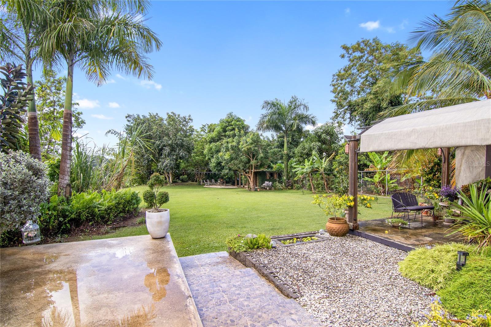 757 KM 1.7 INT LOT 4 LA CEIBA POLLOS WARD