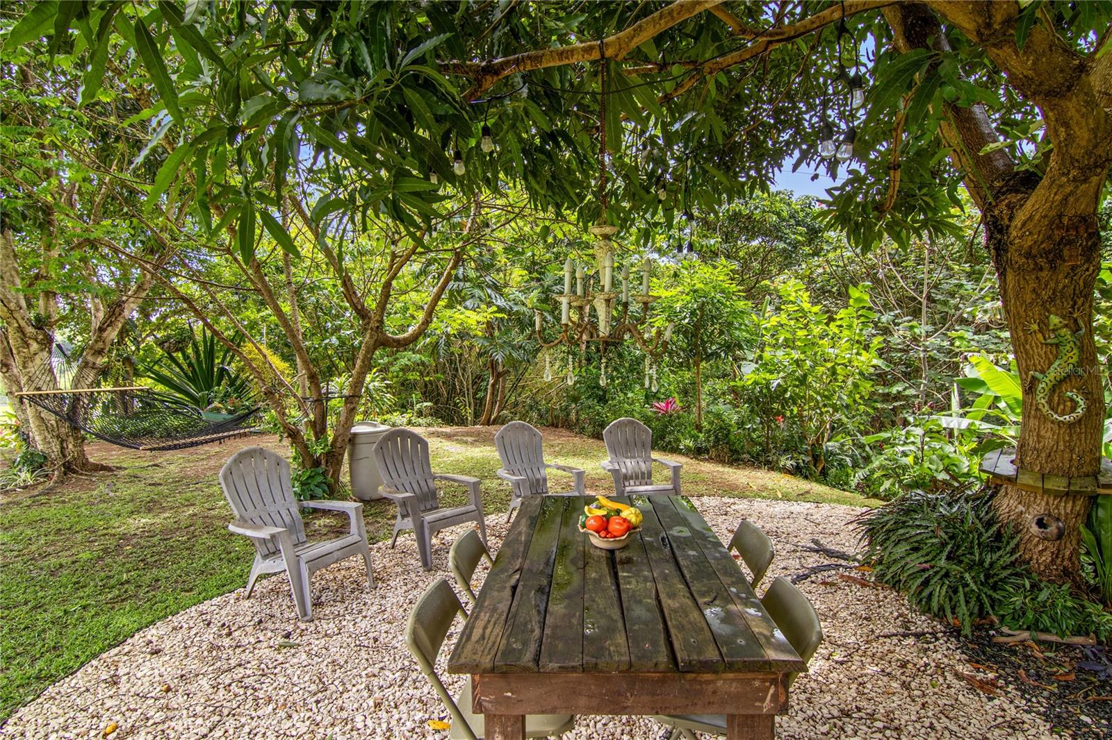 757 KM 1.7 INT LOT 4 LA CEIBA POLLOS WARD