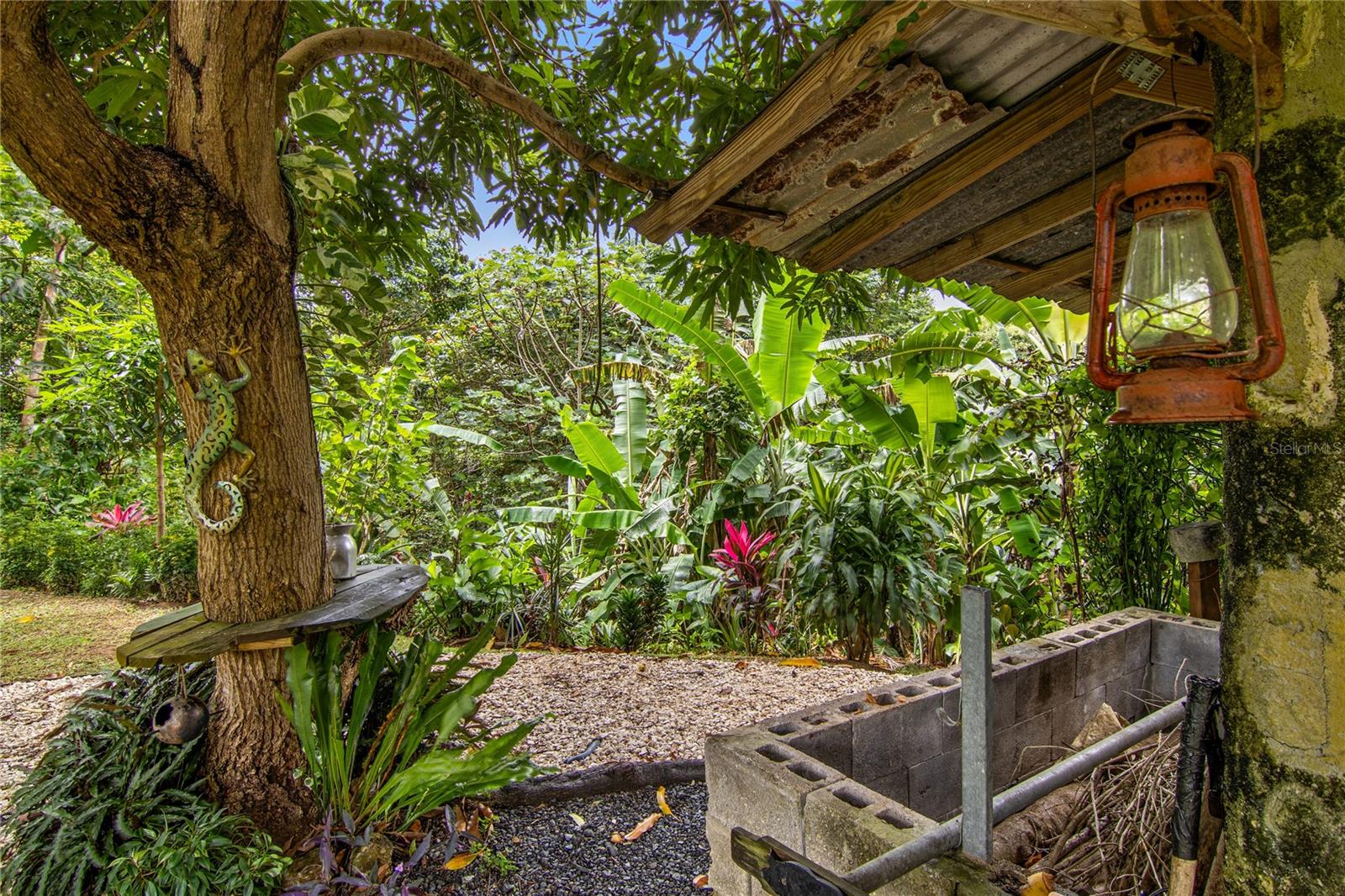 757 KM 1.7 INT LOT 4 LA CEIBA POLLOS WARD