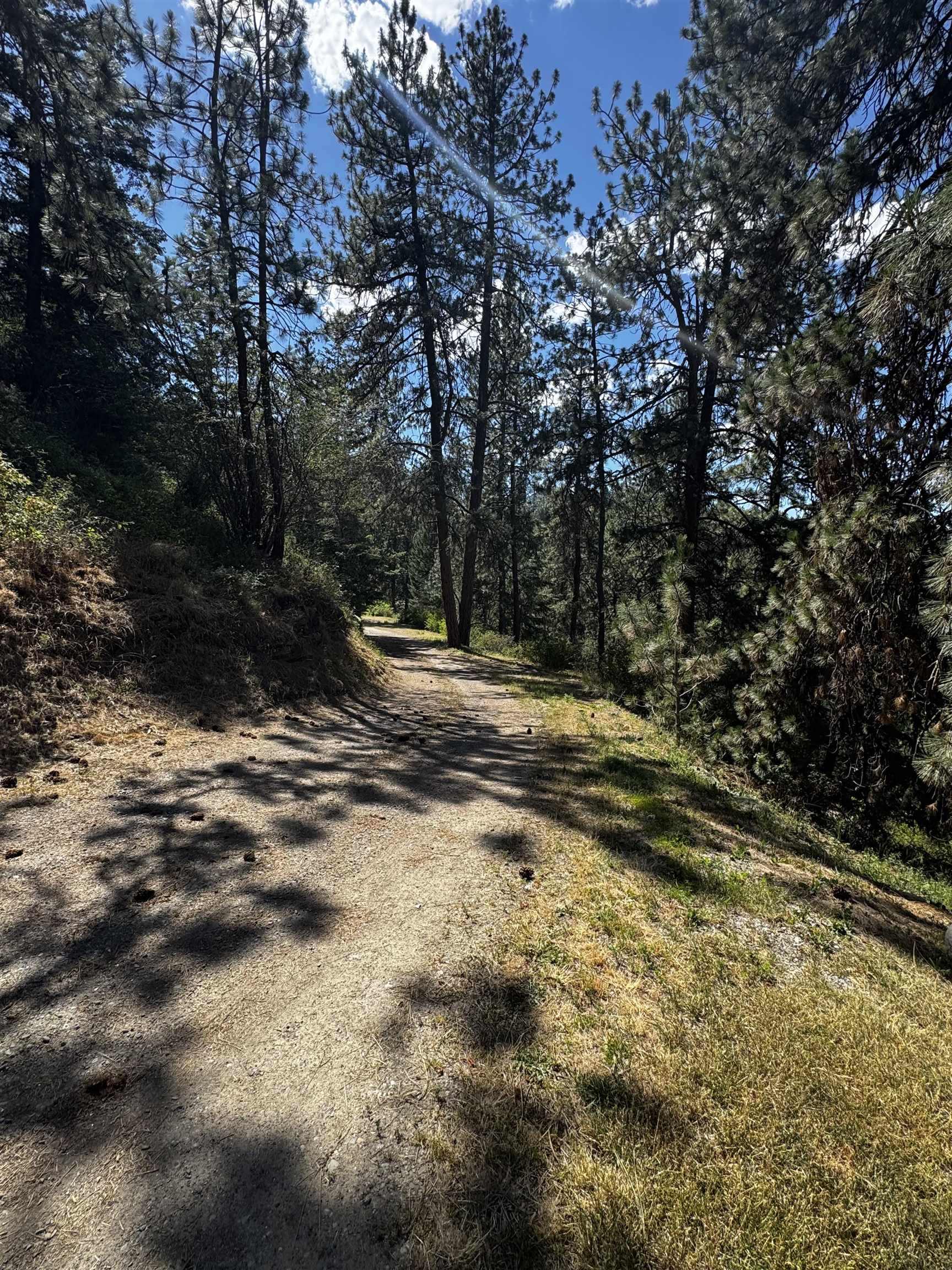4020 S Saltese Lake Rd