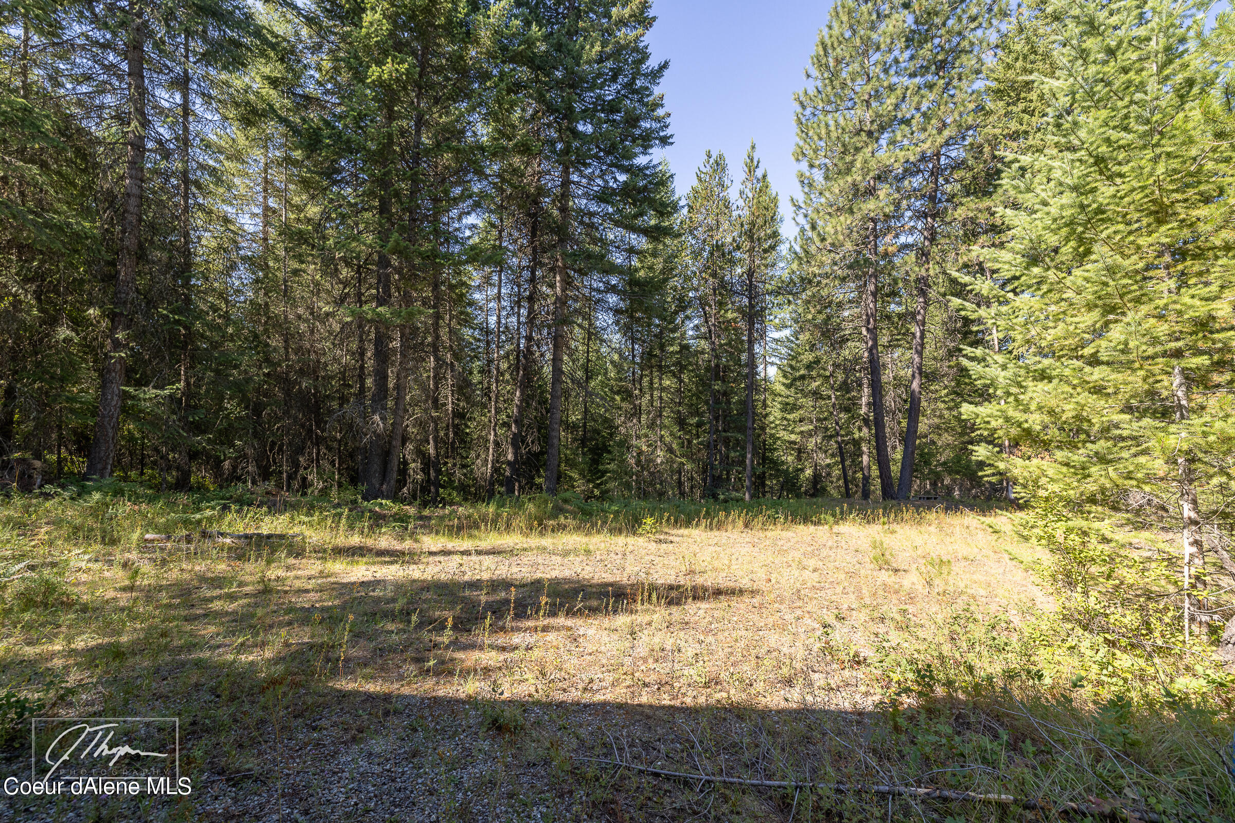 1107 Little Blacktail Mountain Rd