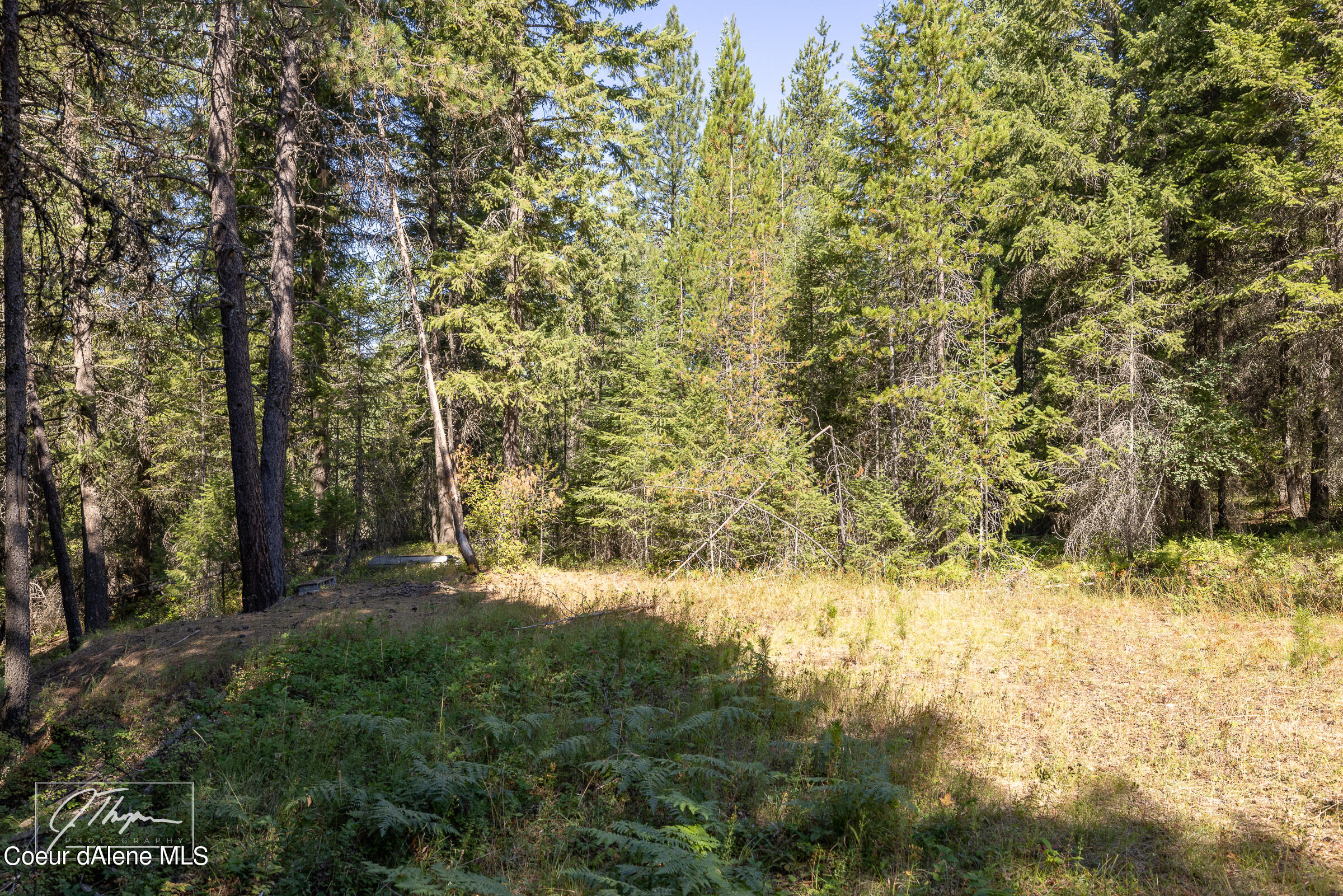 1107 Little Blacktail Mountain Rd