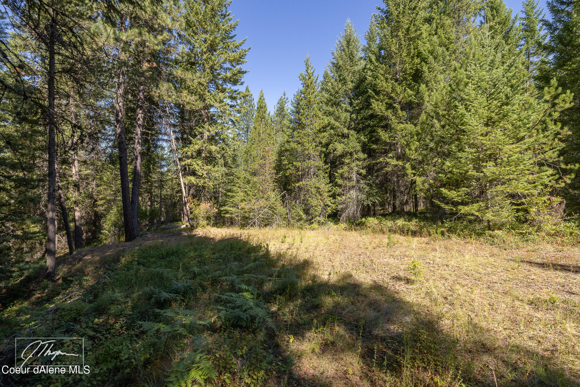 1107 Little Blacktail Mountain Rd