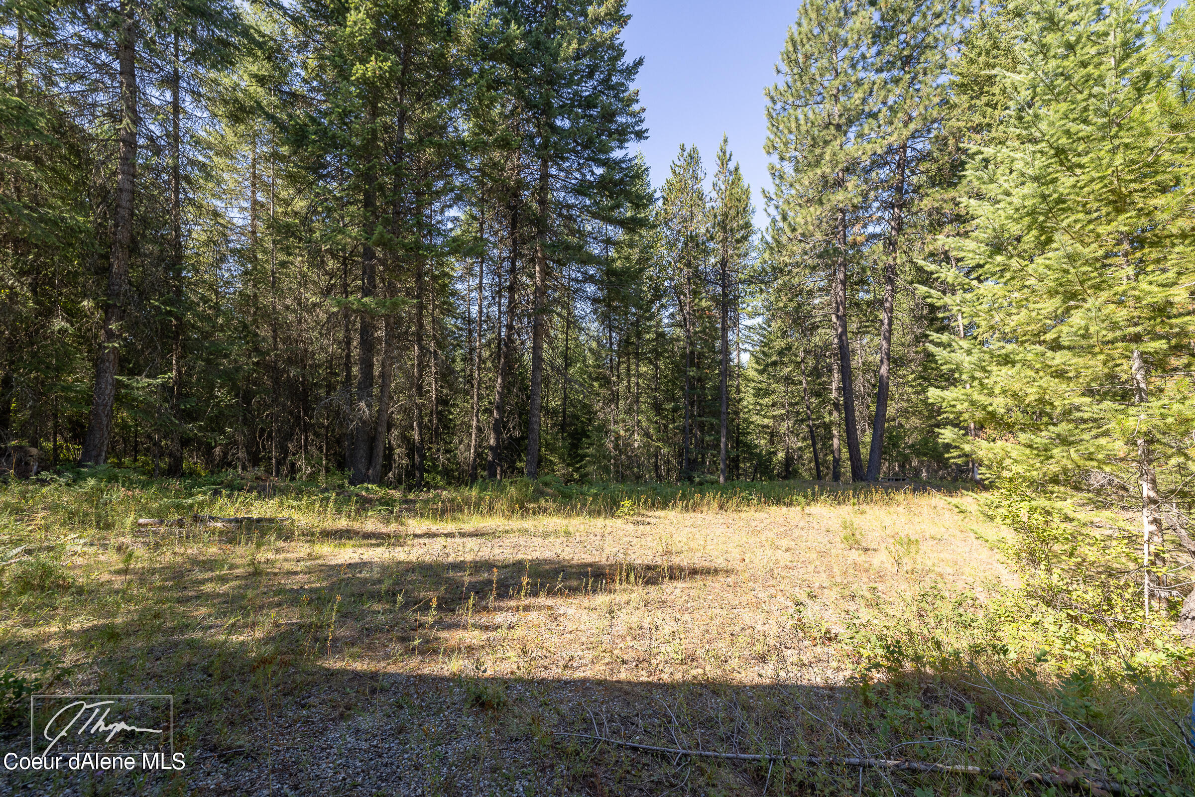 1107 Little Blacktail Mountain Rd