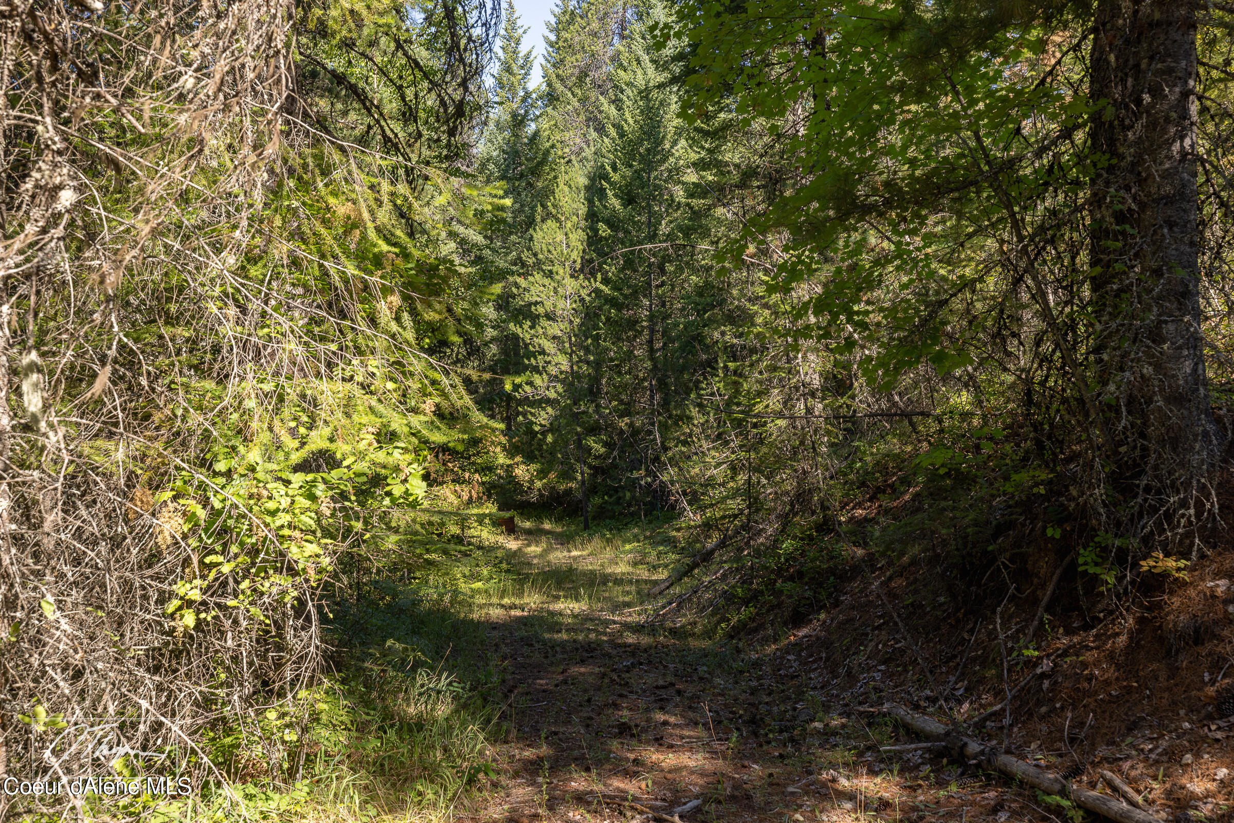 1107 Little Blacktail Mountain Rd