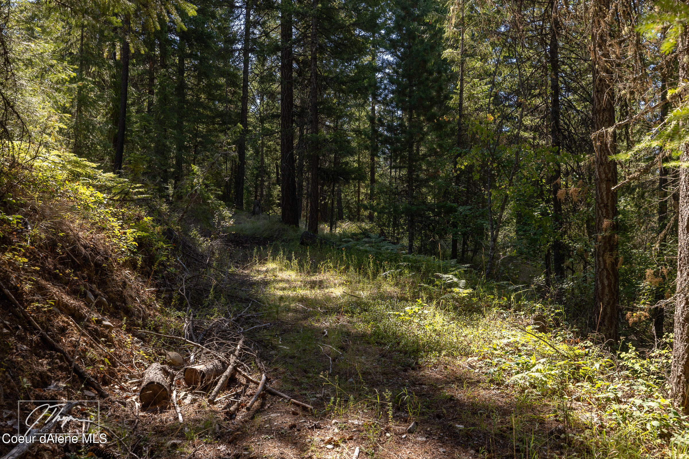 1107 Little Blacktail Mountain Rd