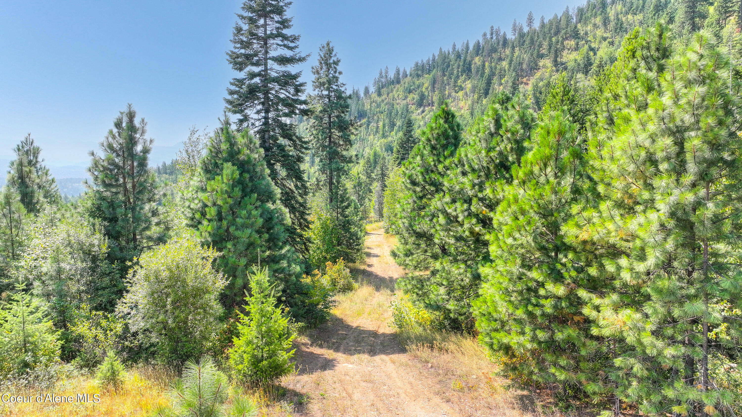 NKA Juniper LN