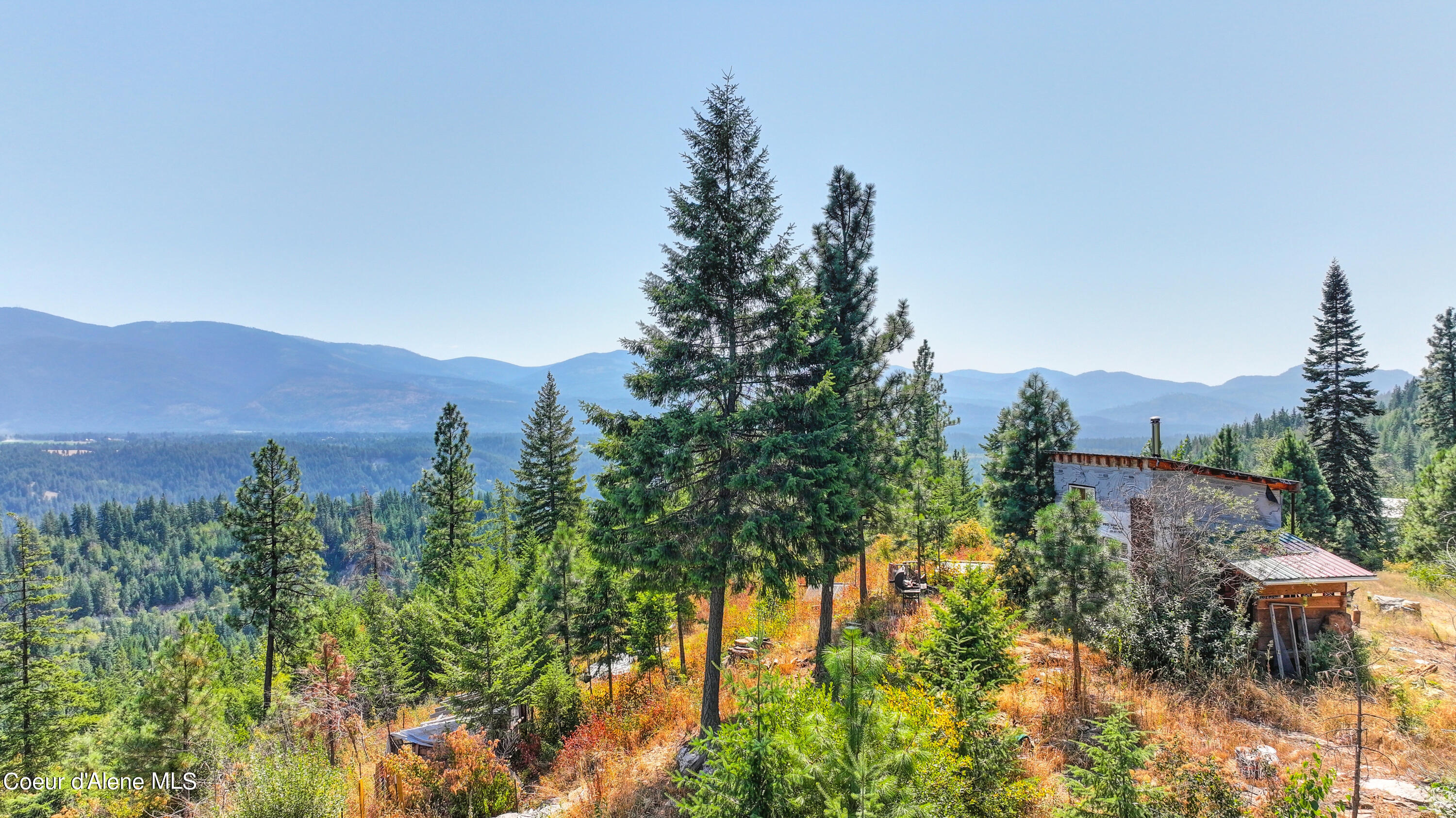 NKA Juniper LN