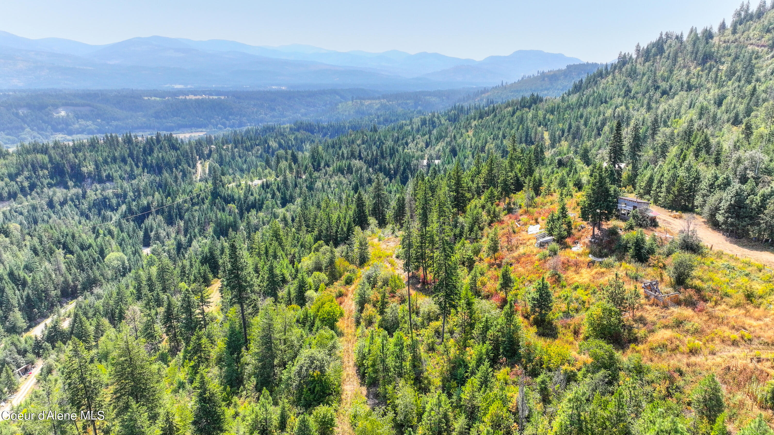 NKA Juniper LN