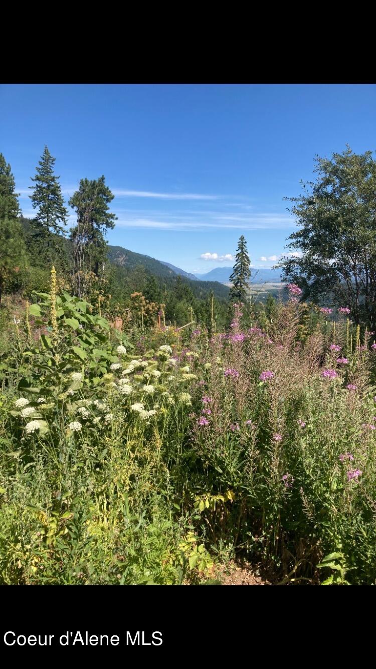 NKA Juniper LN