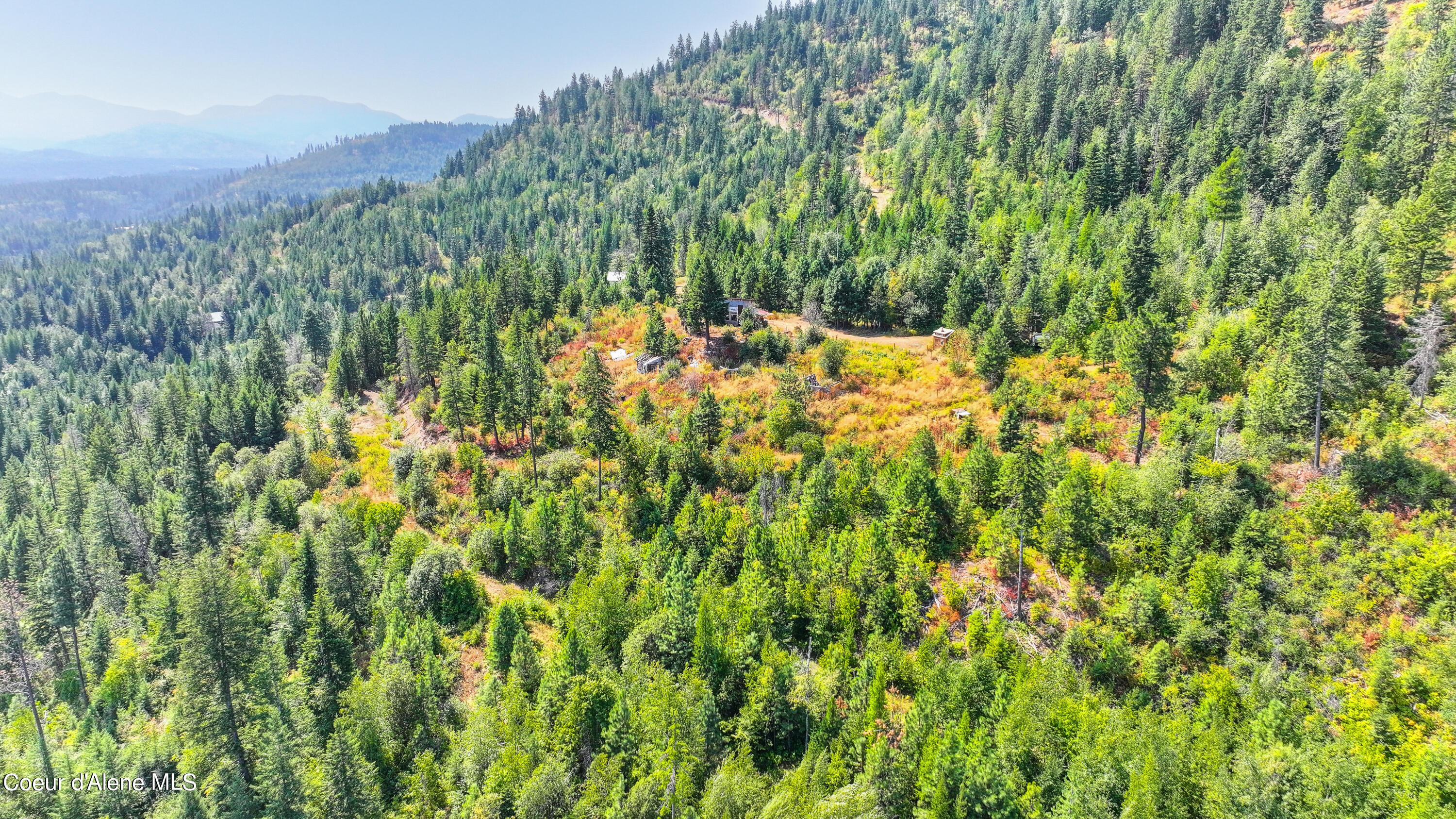 NKA Juniper LN