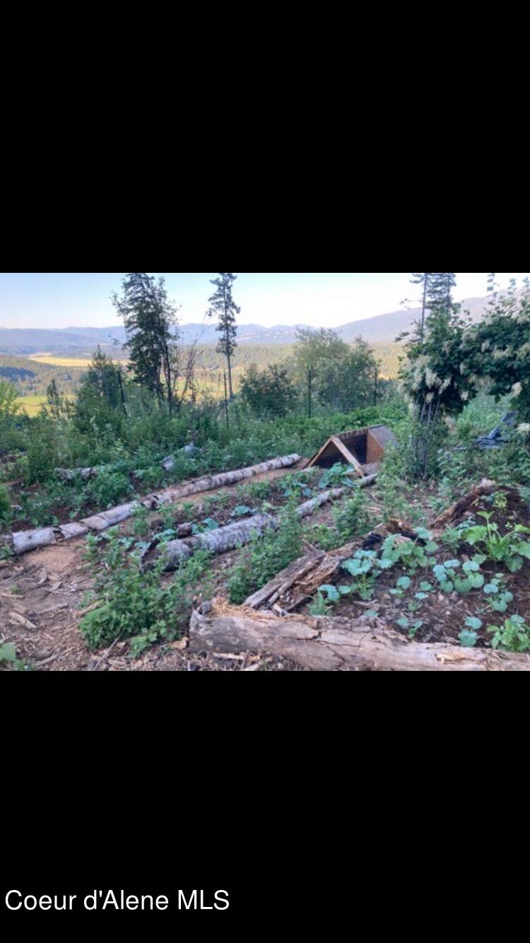 NKA Juniper LN