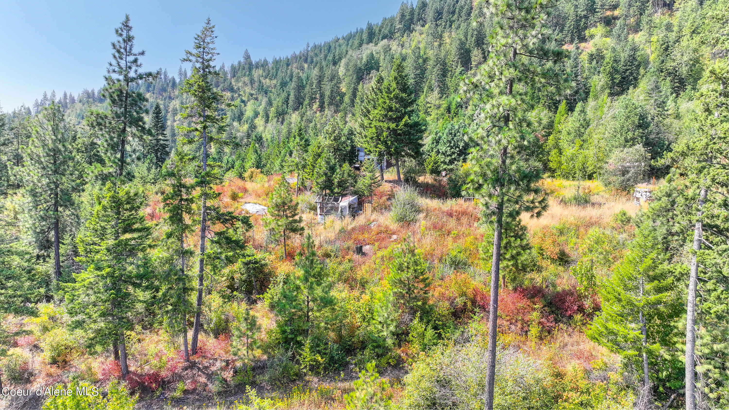NKA Juniper LN