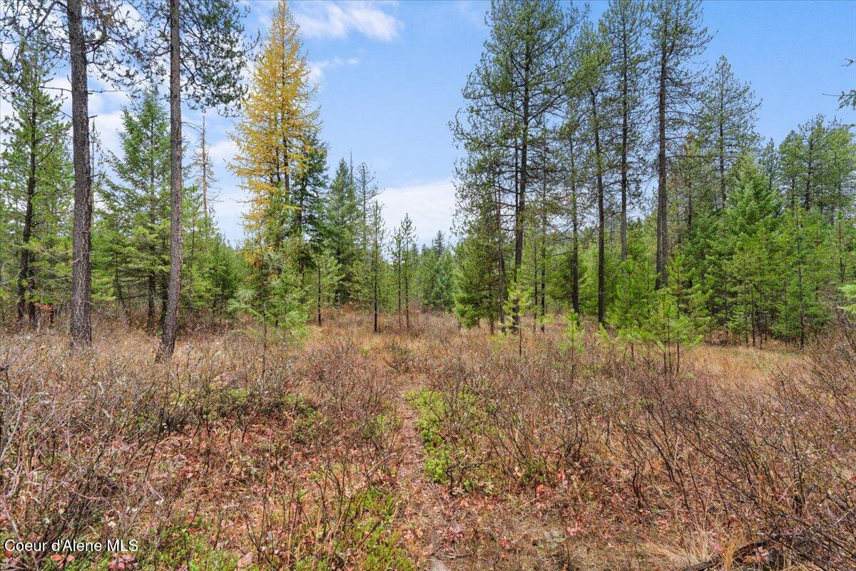 NNA Ares Acres Lot 4