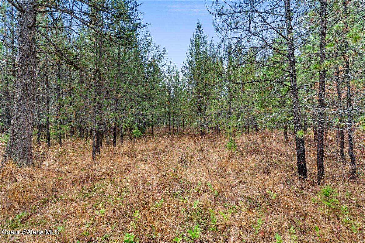 NNA Ares Acres Lot 4