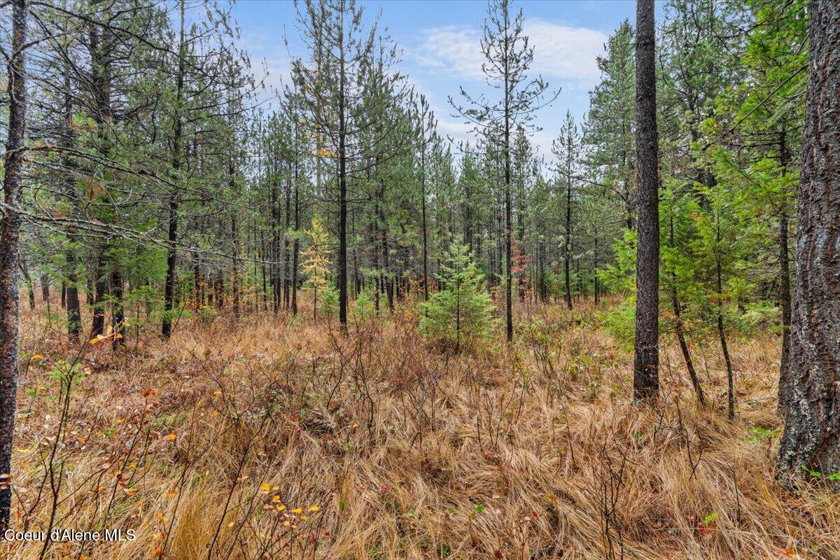 NNA Ares Acres Lot 4