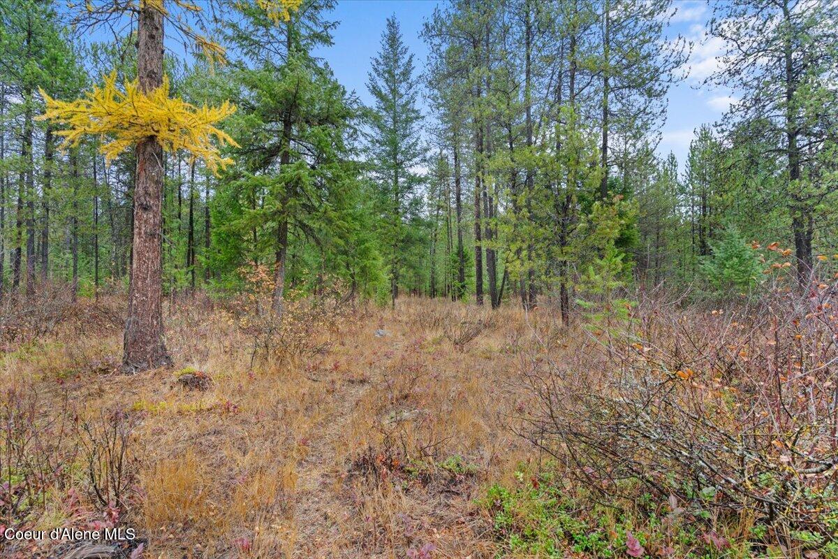 NNA Ares Acres Lot 4