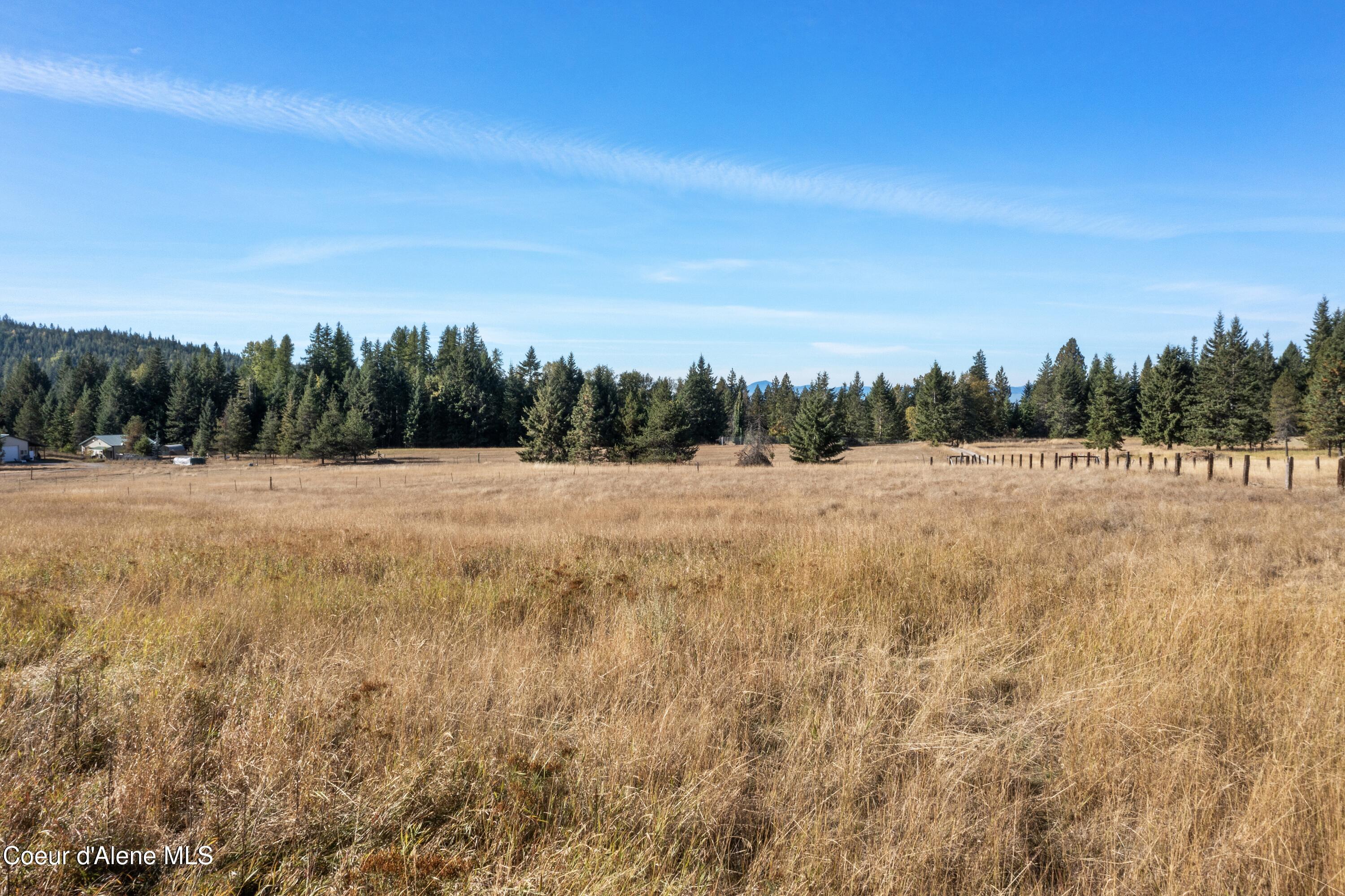 2376 Little Blacktail Rd
