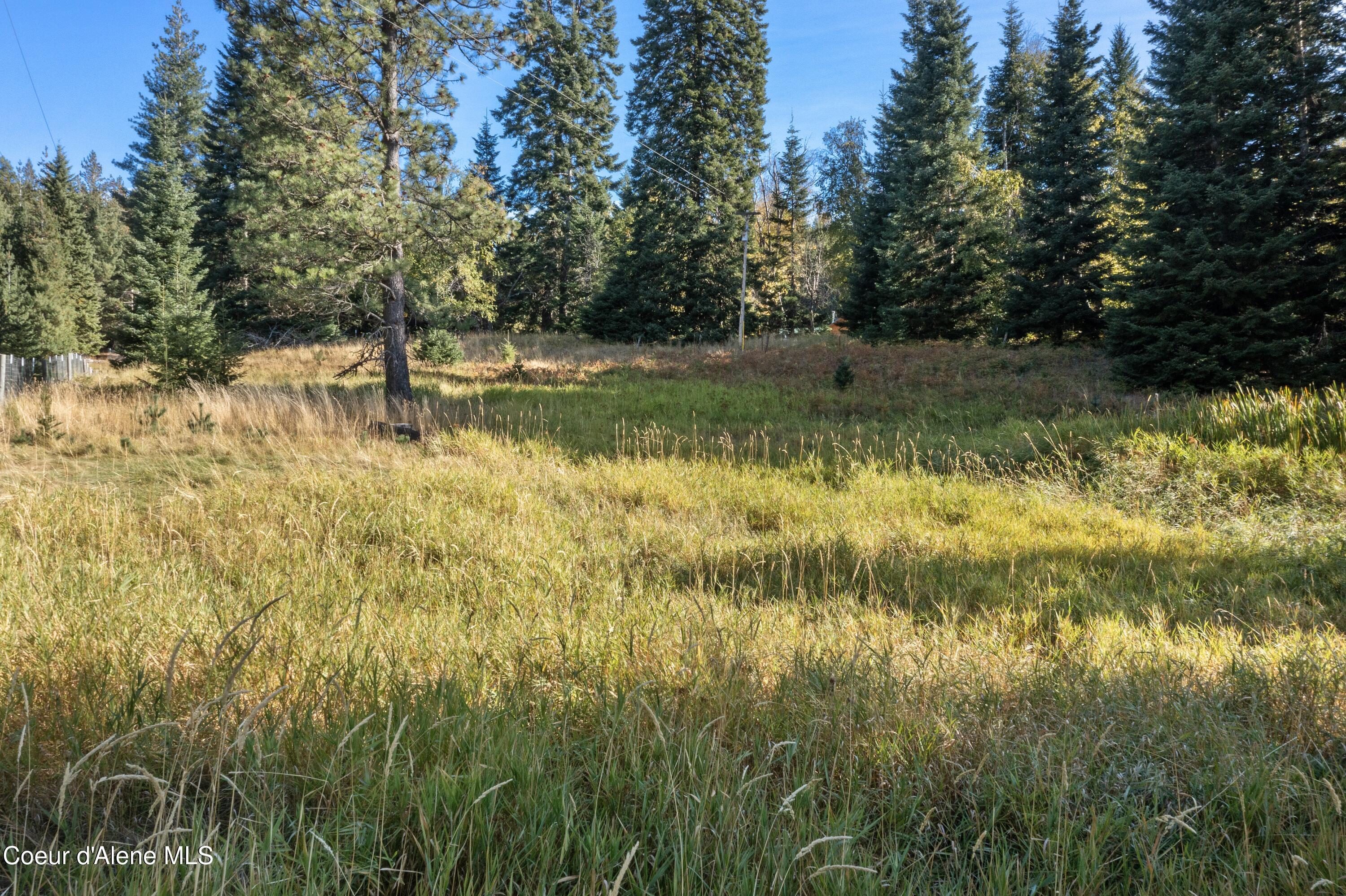 2376 Little Blacktail Rd