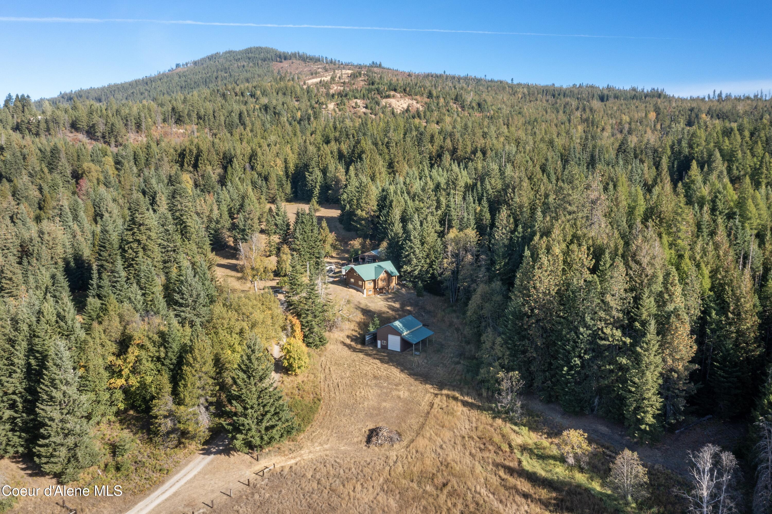2376 Little Blacktail Rd