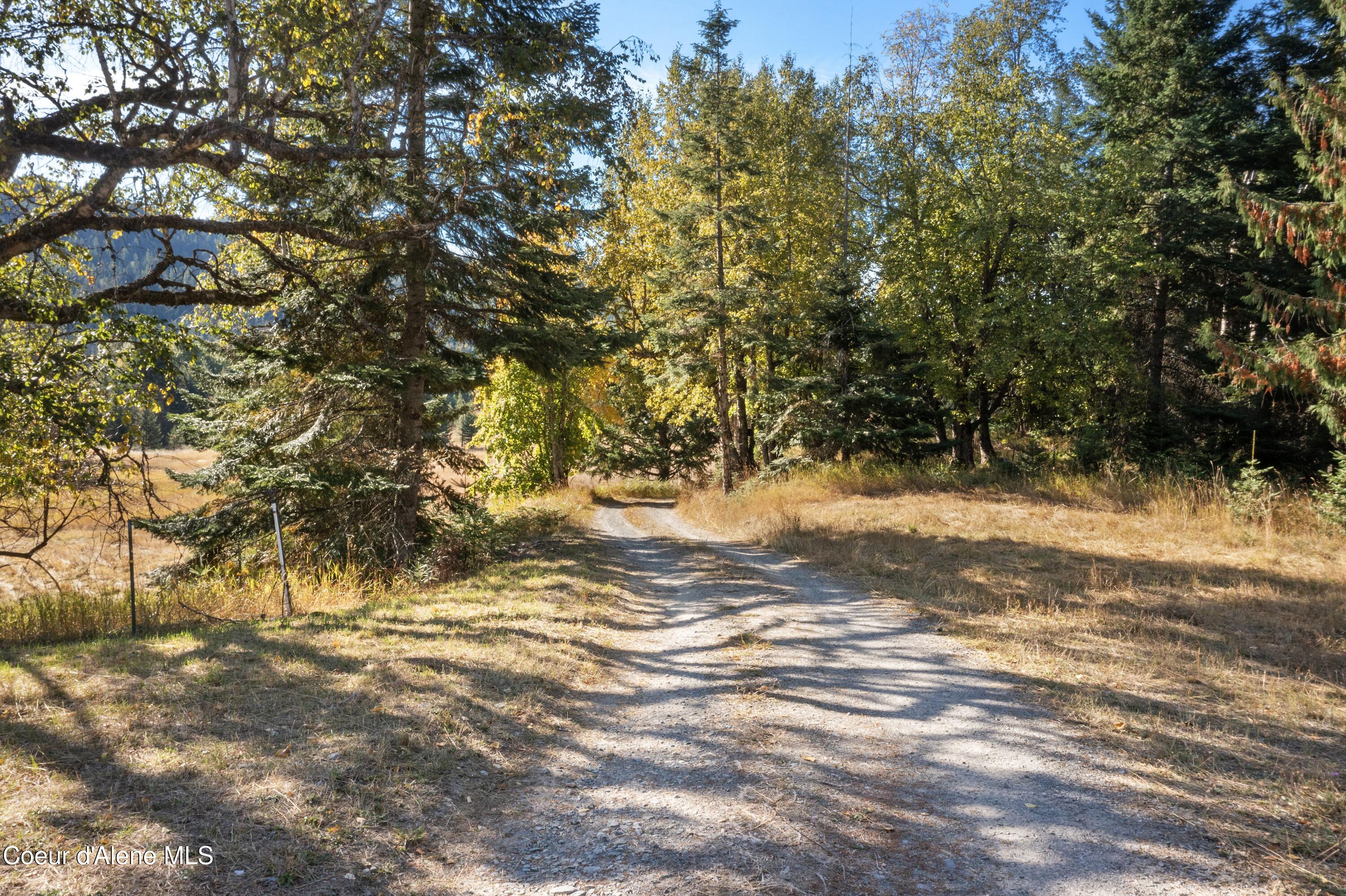 2376 Little Blacktail Rd